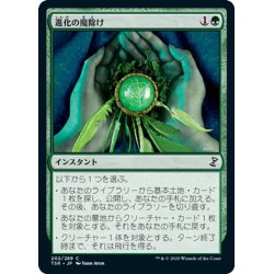 画像1: 【JPN】進化の魔除け/Evolution Charm[MTG_TSR_202C]