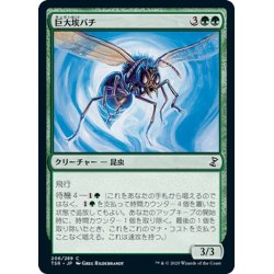 画像1: 【JPN】巨大埃バチ/Giant Dustwasp[MTG_TSR_206C]