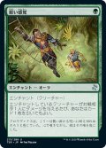 【JPN】鋭い感覚/Keen Sense[MTG_TSR_213U]