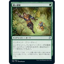 画像1: 【JPN】鋭い感覚/Keen Sense[MTG_TSR_213U]