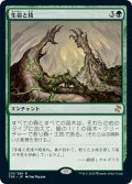 【JPN】生命と枝/Life and Limb[MTG_TSR_215R]