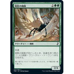 画像1: 【JPN】暗影の蜘蛛/Penumbra Spider[MTG_TSR_223C]