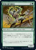 【JPN】原初の腕力魔道士/Primal Forcemage[MTG_TSR_225U]