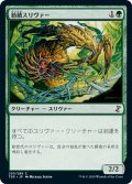 【JPN】紡績スリヴァー/Spinneret Sliver[MTG_TSR_230C]