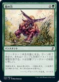 【JPN】数の力/Strength in Numbers[MTG_TSR_233C]