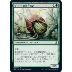 画像1: 【JPN】サリッドの殻住まい/Thallid Shell-Dweller[MTG_TSR_237C]