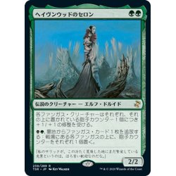 画像1: 【JPN】ヘイヴンウッドのセロン/Thelon of Havenwood[MTG_TSR_238R]