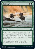 【JPN】版図の踏みつけ/Tromp the Domains[MTG_TSR_242U]