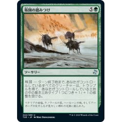 画像1: 【JPN】版図の踏みつけ/Tromp the Domains[MTG_TSR_242U]