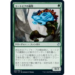 画像1: 【JPN】ユートピアの菌類/Utopia Mycon[MTG_TSR_244U]