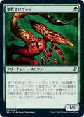 【JPN】悪性スリヴァー/Virulent Sliver[MTG_TSR_246C]