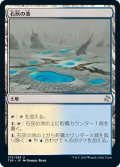 【JPN】石灰の池/Calciform Pools[MTG_TSR_275U]