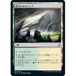 画像1: 【JPN】塩汚れのステップ/Saltcrusted Steppe[MTG_TSR_283U]