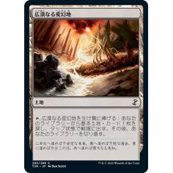 画像1: 【JPN】広漠なる変幻地/Terramorphic Expanse[MTG_TSR_285C]