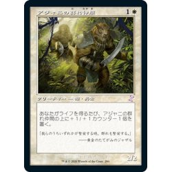 画像1: 【JPN】★Foil★アジャニの群れ仲間/Ajani's Pridemate[MTG_TSR_290B]