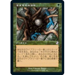 画像1: 【JPN】古きものの活性/Ancient Stirrings[MTG_TSR_355B]