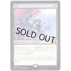 画像1: 【JPN】苦花/Bitterblossom[MTG_UMA_085M]