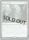 【JPN】壌土からの生命/Life from the Loam[MTG_UMA_172R]