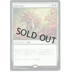 画像1: 【JPN】滋養の群れ/Nourishing Shoal[MTG_UMA_175R]