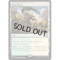 画像1: 【JPN】活発な野生林/Stirring Wildwood[MTG_UMA_251R]