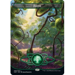 画像1: 【ENG】森/Forest[MTG_UNF_239L]