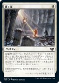 【JPN】貫く光/Piercing Light[MTG_VOW_030C]