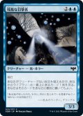 【JPN】残酷な目撃者/Cruel Witness[MTG_VOW_055C]