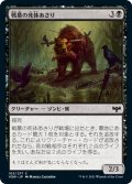 【JPN】戦墓の死体あさり/Diregraf Scavenger[MTG_VOW_105C]