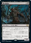 【JPN】墓の肉裂き/Graf Reaver[MTG_VOW_115R]