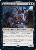 【JPN】蝕むもの、トクスリル/Toxrill, the Corrosive[MTG_VOW_132M]