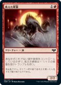 【JPN】飢えた峰狼/Hungry Ridgewolf[MTG_VOW_161C]