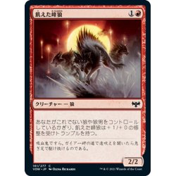 画像1: 【JPN】飢えた峰狼/Hungry Ridgewolf[MTG_VOW_161C]