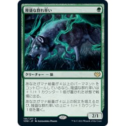 画像1: 【JPN】隆盛な群れ率い/Ascendant Packleader[MTG_VOW_186R]