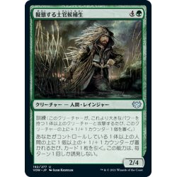 画像1: 【JPN】擬態する士官候補生/Cloaked Cadet[MTG_VOW_192U]