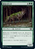 【JPN】繁茂の狩り手/Flourishing Hunter[MTG_VOW_199C]