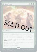 【JPN】壮麗な日の出/Glorious Sunrise[MTG_VOW_200R]