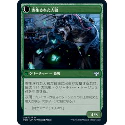 画像2: 【JPN】寄生の専門家/寄生された人狼/Infestation Expert/Infested Werewolf[MTG_VOW_206U]