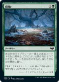 【JPN】根囲い/Mulch[MTG_VOW_210C]