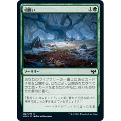 画像1: 【JPN】根囲い/Mulch[MTG_VOW_210C]