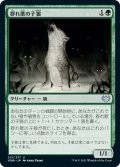 【JPN】群れ歌の子狼/Packsong Pup[MTG_VOW_213U]