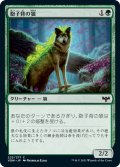 【JPN】胞子背の狼/Sporeback Wolf[MTG_VOW_223C]