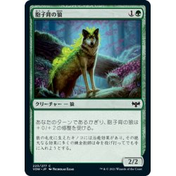 画像1: 【JPN】胞子背の狼/Sporeback Wolf[MTG_VOW_223C]