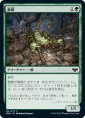 【JPN】毒蠍/Toxic Scorpion[MTG_VOW_224C]