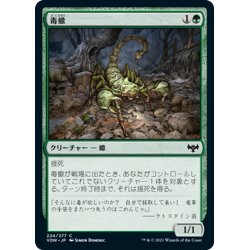 画像1: 【JPN】毒蠍/Toxic Scorpion[MTG_VOW_224C]