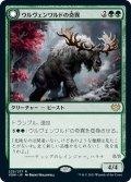 【JPN】ウルヴェンワルドの奇異/ウルヴェンワルドのビヒモス/Ulvenwald Oddity/Ulvenwald Behemoth[MTG_VOW_225R]