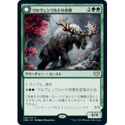 画像1: 【JPN】ウルヴェンワルドの奇異/ウルヴェンワルドのビヒモス/Ulvenwald Oddity/Ulvenwald Behemoth[MTG_VOW_225R]