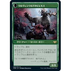 画像2: 【JPN】ウルヴェンワルドの奇異/ウルヴェンワルドのビヒモス/Ulvenwald Oddity/Ulvenwald Behemoth[MTG_VOW_225R]