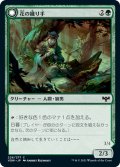 【JPN】花の織り手/花纏いの人狼/Weaver of Blossoms/Blossom-Clad Werewolf[MTG_VOW_226C]