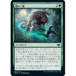 画像1: 【JPN】狼の一撃/Wolf Strike[MTG_VOW_228C]