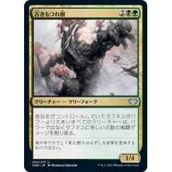 画像1: 【JPN】古きもつれ樹/Ancient Lumberknot[MTG_VOW_230U]